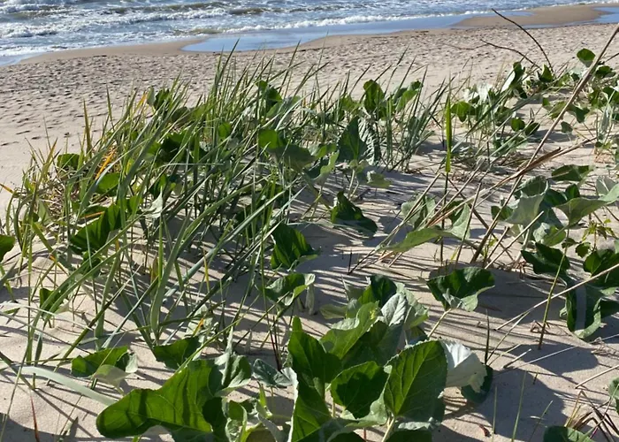 منتزه العطل Osada Lekranka