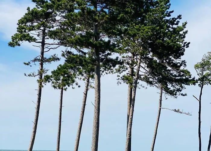 منتزه العطل Osada Lekranka *